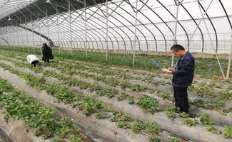 农产品抽检保障安全 亲子活动共筑美好生活