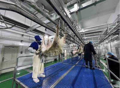 龙头企业带动产业发展,定边县实现农产品生产与就业双赢