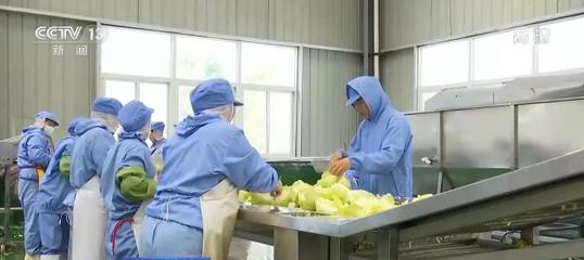 乡村产业振兴全面发力 农业农村发展呈现新气象