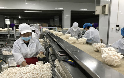 成都丰科生物科技开启'防疫泡泡'模式,实现保供生产两不误