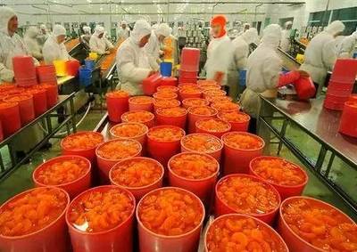 国家大力支持农产品加工业 可申报的九大补贴政策