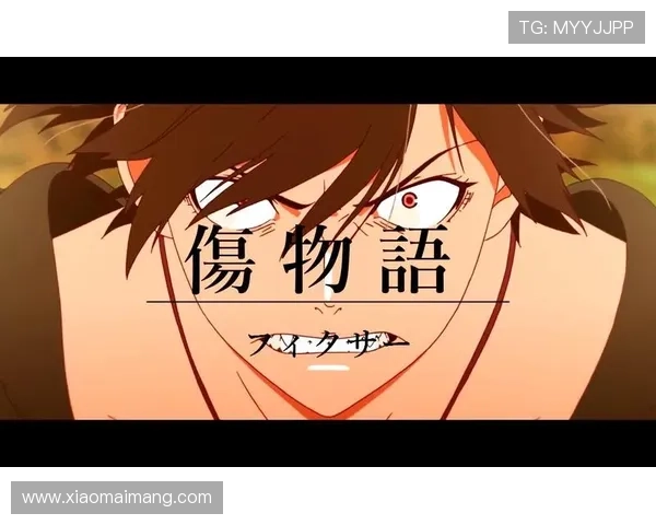 伤物语剧场版之恋与命运的交织少年与少女的血色禁忌之旅 伤物语剧场版之恋与命运的交织少年与少女的血色禁忌之旅