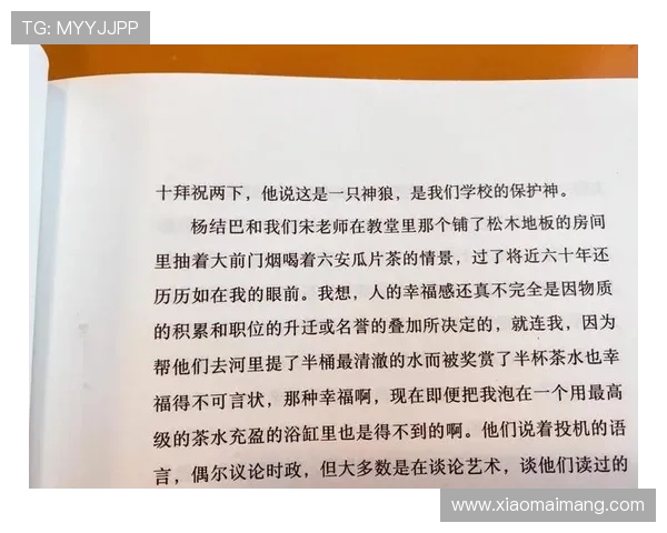 当文字跃然屏幕:小说改编剧的魅力何在? 当文字跃然屏幕:小说改编剧的魅力何在?