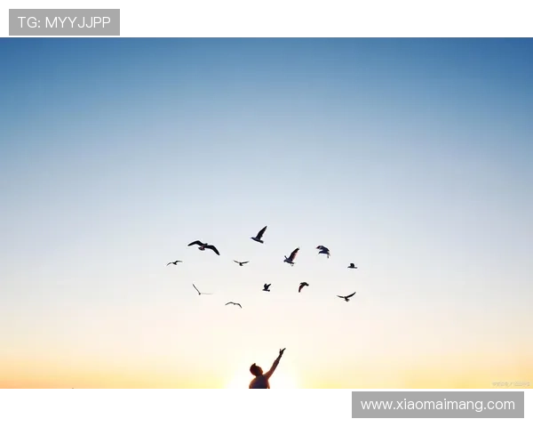 想飞的翅膀无畏风雨在追梦的道路上勇敢飞翔 想飞的翅膀无畏风雨在追梦的道路上勇敢飞翔