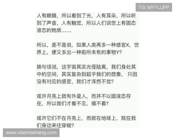 董夫人如何在权谋与情感之间找到平衡揭示她的智慧与心机 董夫人如何在权谋与情感之间找到平衡揭示她的智慧与心机