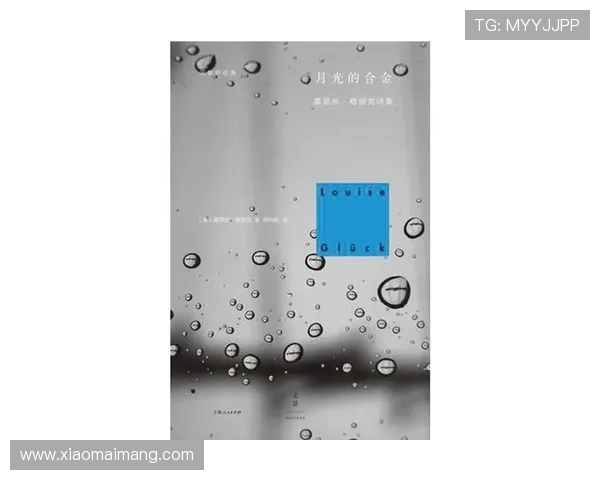 灵魂的低语：那些不曾言说的特殊关系