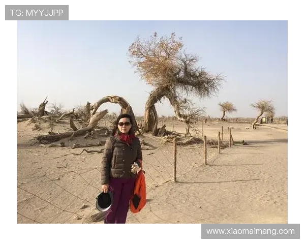 她从海上来：海的女儿，不只是传说