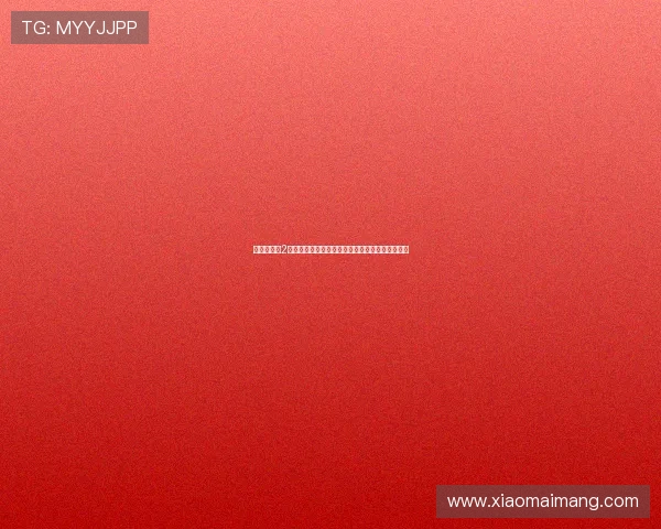 《女巫猎人2》：重燃传奇，暗影之下，谁将是最后的守护者？