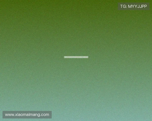 城堡之王：您的梦幻国度，触手可及的辉煌