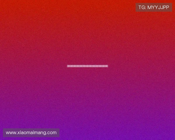 我们在法兰西的岁月：一场关于梦想、邂逅与成长的时光奏鸣曲