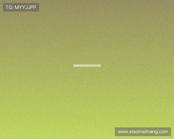 爽食赢天下：舌尖上的征途，味蕾上的传奇